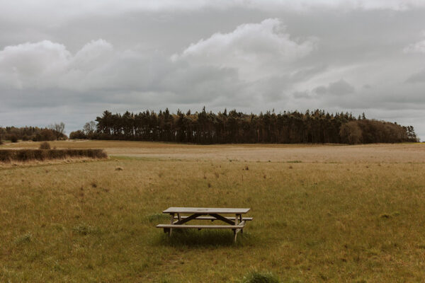 the cabin - Image 7